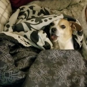 Meet your Posher, Hilary